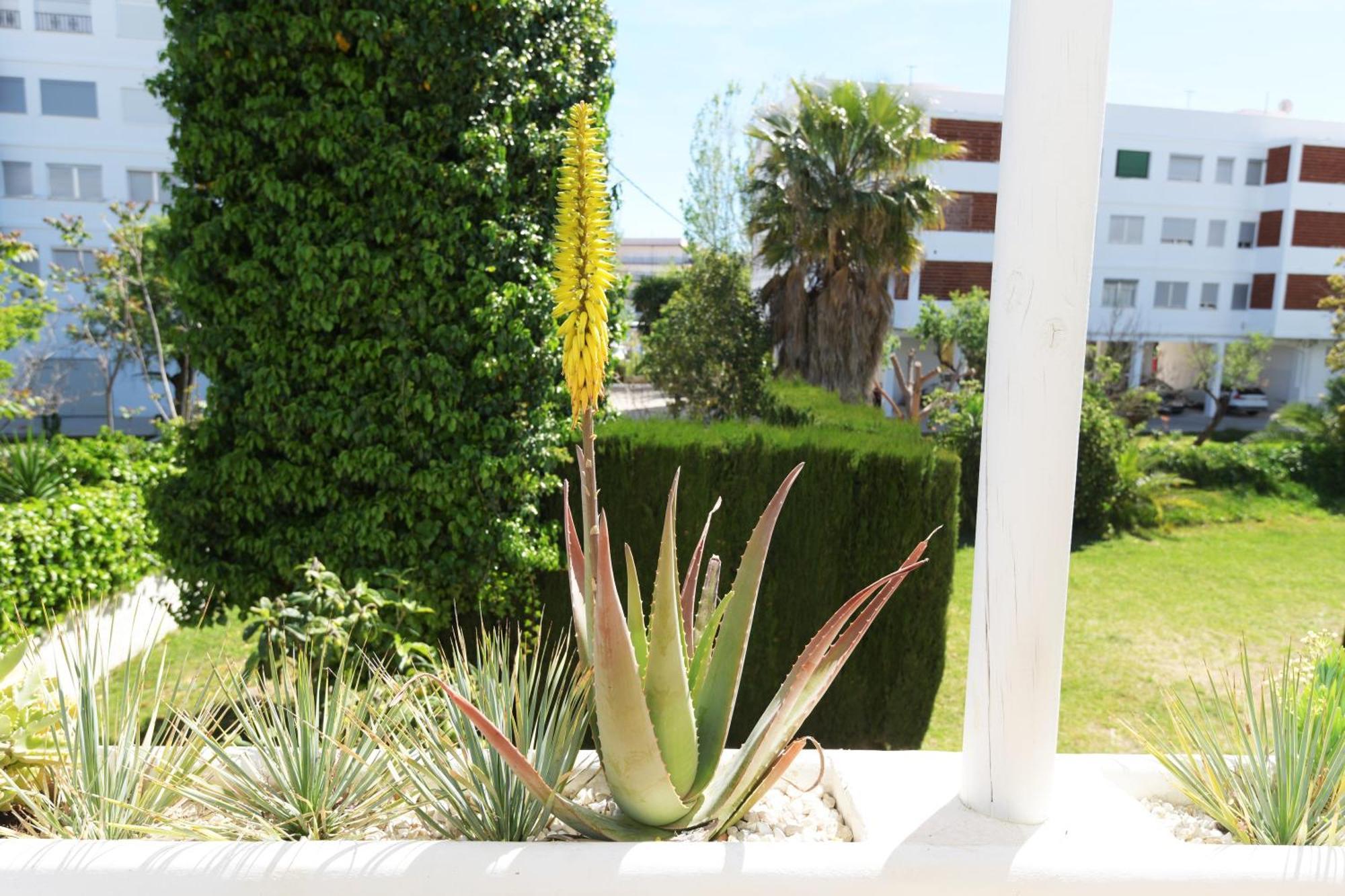 Stories Javea - Cosy Boho Apartment El Arenal - Toplocation - 250M From The Beach! Esterno foto
